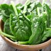 Giant Winter Spinach 500g Vegetable Seeds for Garden