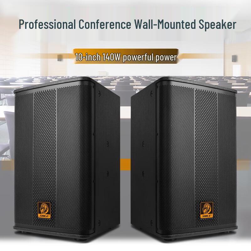 SHILE BX-110 10-inch Professional Conference Speaker