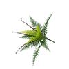 Beautiful Faux Plant Leaves Clear Texture 3 Styles Create Atmosphere