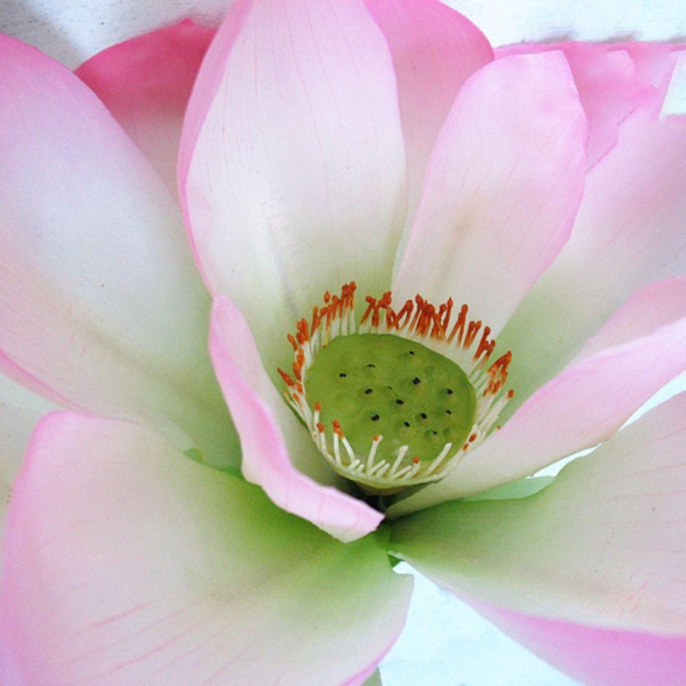 New Landscape Artificial Flower DIY Decoration Long Stem Artificial Lotus Artificial Flower Pole Lotus PU Green Plant