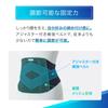 Media Aid Waist Supporter Firmly Guard Waist Standard Plus LL Black Medical Производитель Nippon Sigmax Unisex Corset Повседневная жизнь Работа Спорт [Официальный