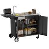 Grill Table with Sink, Kitchen Island with Folding Worktop and Metal Storage Cabinet, Rolling Grill Cart with Wheels for Garden, Backyard and Lawn