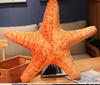 Plush Toy, Sea Creature, Aquarium, Shell, Seafood, Shell, Cushion, Huggable Pillow, Realistic, Fluffy, Sewn, Starfish, Seawater, Underwater,