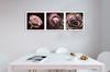 Canvas print, Panorama - roses