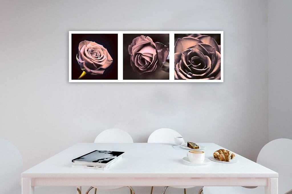 Canvas print, Panorama - roses