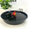Bird Bath Bowl Bathtub Box for Parakeets Finches Lovebirds