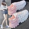 2025 Summer New Women's Single Mesh Platform Dad Shoes Ins Trendy Versatile Fried Street Women's Height-increasing Breathable Sneakers