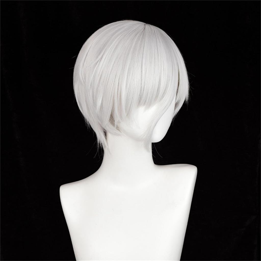 Laubao Shopping Антарктицит Косплей Серый Костюм Хэллоуин Косплей Парик Парик, Боб, Волосы, Термостойкий, Аксессуар, Костюм, (Антарктицит)