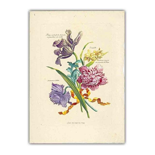 Скандинавское ретро-искусство картина на холсте с изображением растений эволюция цветов Популярная наука Плакат гостиная коридор украшение дома фреска без рамки