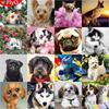 Diamond Embroidery Dog Cross Stitch Full Drill Square Diamond Painting Animal Mosaic Decor For Home