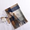 Korean Version New Rainbow Splicing Color Plaid Shawl Female Male Imitation Cashmere Long Scarf Women Men Warm Tassel Muffler