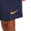 Nike Dri FIT ADV ФК Барселона Матчевая Домашняя 24/25 Футбольные Штаны Мужские HM6603-410