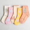 Kkomji Children's P Daisy Socks 5 Foot Set, a Popular Character In Korea