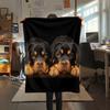 Black Rottweiler,pattern Flannel Blanket, High quality Comfortable for All Seasons, Home Decor, Warmth and Comfort, Perfect for Gifts.