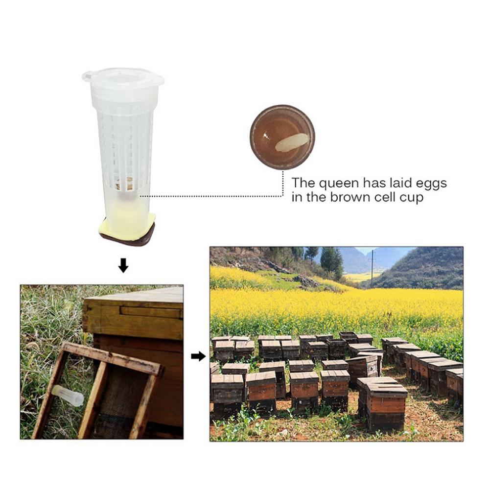 15PCS Plastic Bee Queen Rearing Cages Anti Bite Protector Beekeeping Equipment Insect Tool