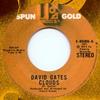 7-дюймовая пластинка ДЭВИД ГЕЙТС - Облака / Путешествие вокруг света Spun Gold 1973 США Поп
