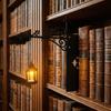 Metal Bookshelf Lantern Light Warm Yellow Bookshelf Ghost Light Library Reading Lamp  Reading
