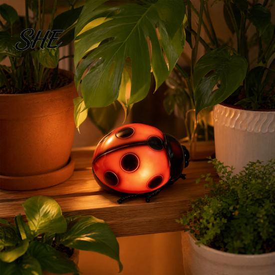 Durable Night Light Glowing Ladybug Light, Resin Bedside Lamp for Kids, Cute Crack Resistant Insect Shaped Table Decor Bedroom, Funny Small