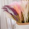 Искусственные цветы Зеленые растения Украшения Ремесла Тростник Трава Ins Ветер Свадьба Креатив