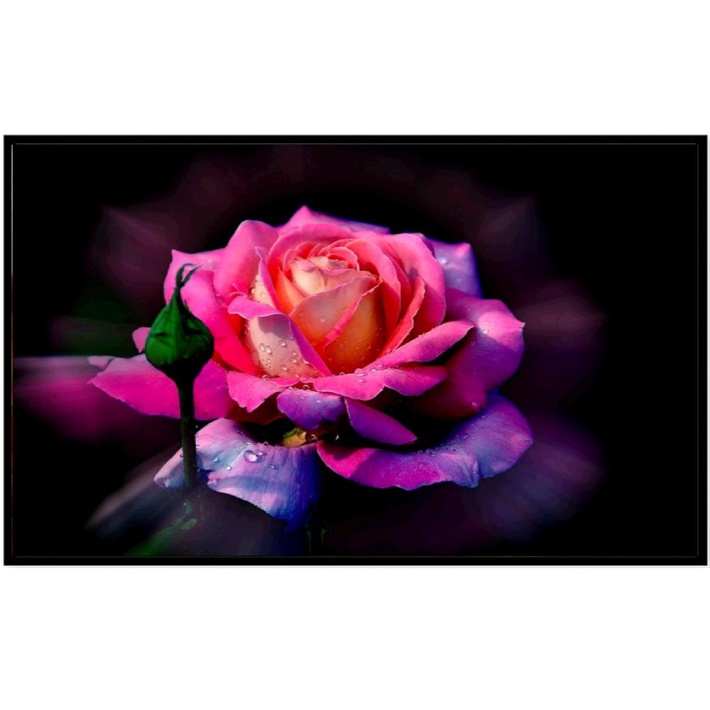 5D Diamond Painting Animal Horse Full Round Diamond Mosaic Pattern Flower Diy Sticker Diamond Embroidery Home Decoration Handmad