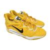 Nike Мужские кроссовки KD 15 TB University Gold, черные, белые, DX6648-701