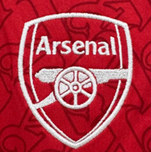adidas Бесплатная доставка с AdiClub Домашняя футболка Арсенал 25/26 с длинным рукавом JI9536
