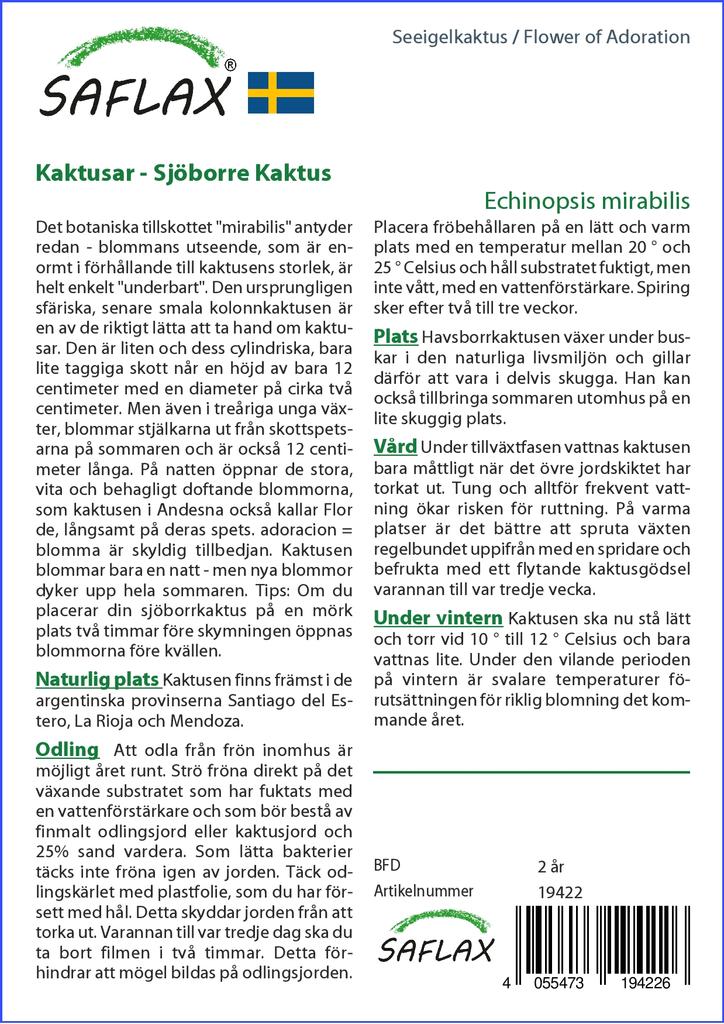 SAFLAX Garden in the Bag - Flower of Adoration - 40 семян - С субстратом в подходящем пакете - Echinopsis mirabilis