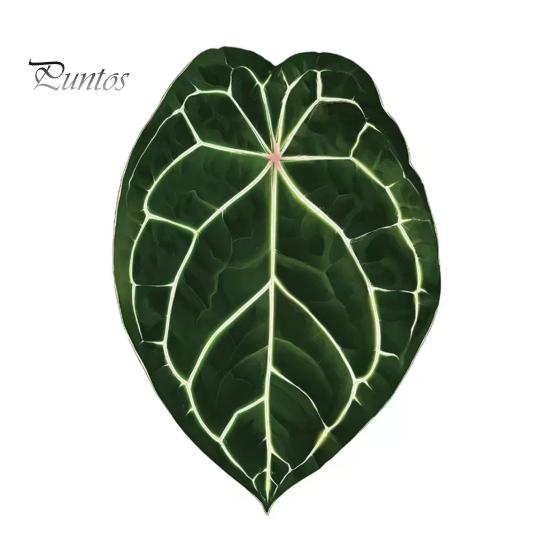 Tropical Plant Refrigerator Magnets 3D Plants Magnet, Acrylic Green Decorative Fridge Home Decor Memo Notes Photo Holder for Kitchen Office