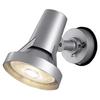 Everleds LED Exterior Spotlight LGW40115 Light Bulb Color
