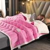 Super Warm Blanket Thicken Coral Flannel Luxury Throws Kid Blankets For Living Room Beds Fleece Sofa Blankets Winter Bed Cover