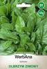 Spinach Winter Giant 10g Spinach Seeds -