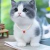 Роскошный Жемчужный Ошейник для Питомца Кот Собака Ошейник Подвеска Сердце Товары для Животных Любовь Кристальные Ошейники Ошейники для Котенка Ожерелье для Кошки