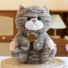 Cute Cat Plush Toys Cartoon Girl Children Bedroom Decoration Dolls Presents