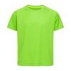 Stedman Childrens/Kids Raglan Active T-Shirt