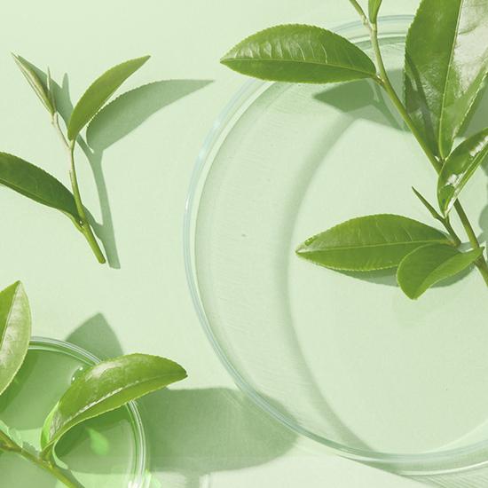 DR.ALTHEA Нежная сыворотка с витамином С 30 мл