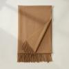 Imitation Cashmere Scarf Autumn and Winter New Solid Color Mid Length Warm Scarf Japanese and Korean Sweet Fashion Tassel Scarf