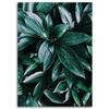Canvas Print Jungle Plants Nature