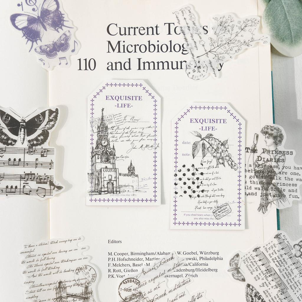 30 pcs Vintage PET Frame Label Stickers pack for Junk Journal Scrapbooking Background Material Decorative Stationery Supplies