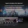 TAKSTAR EKA-D9A Integrated Power Amplifier
