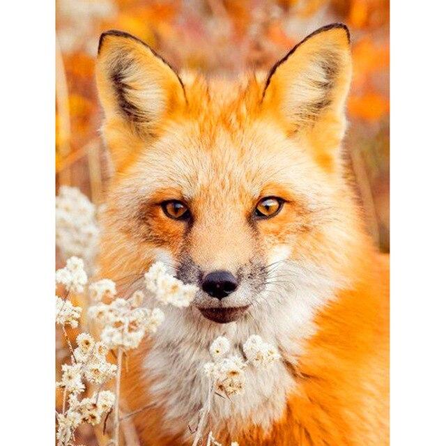 5D алмазная живопись лиса животное Алмазная вышивка крестиком Новое поступление полная квадратная круглая алмазная мозаика картина домашний декор
