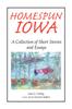 Книга Homespun Iowa