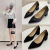 Large Size Pointed Shoes 35-43 Thick Heel Black High Heels Professional Single Shoes Fat and Wide Work Women's Shoes Fat Feet