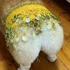 Dog Belly Dance Costume Corgi Dog Waist Chain Butt Curtain Clothes with Sequin Sexy Puppy Shaking Hip Scarf Dress Up Skirt