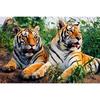 Набор для вышивки крестом DIY Алмазная вышивка Тигр Алмазная картина Мозаика Домашний декор