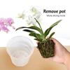 5-20 шт прозрачных пластиковых горшков для орхидей с отверстиями, дышащие, прорезные, для украшения дома, садовые цветочные корзины для помещений и улицы
