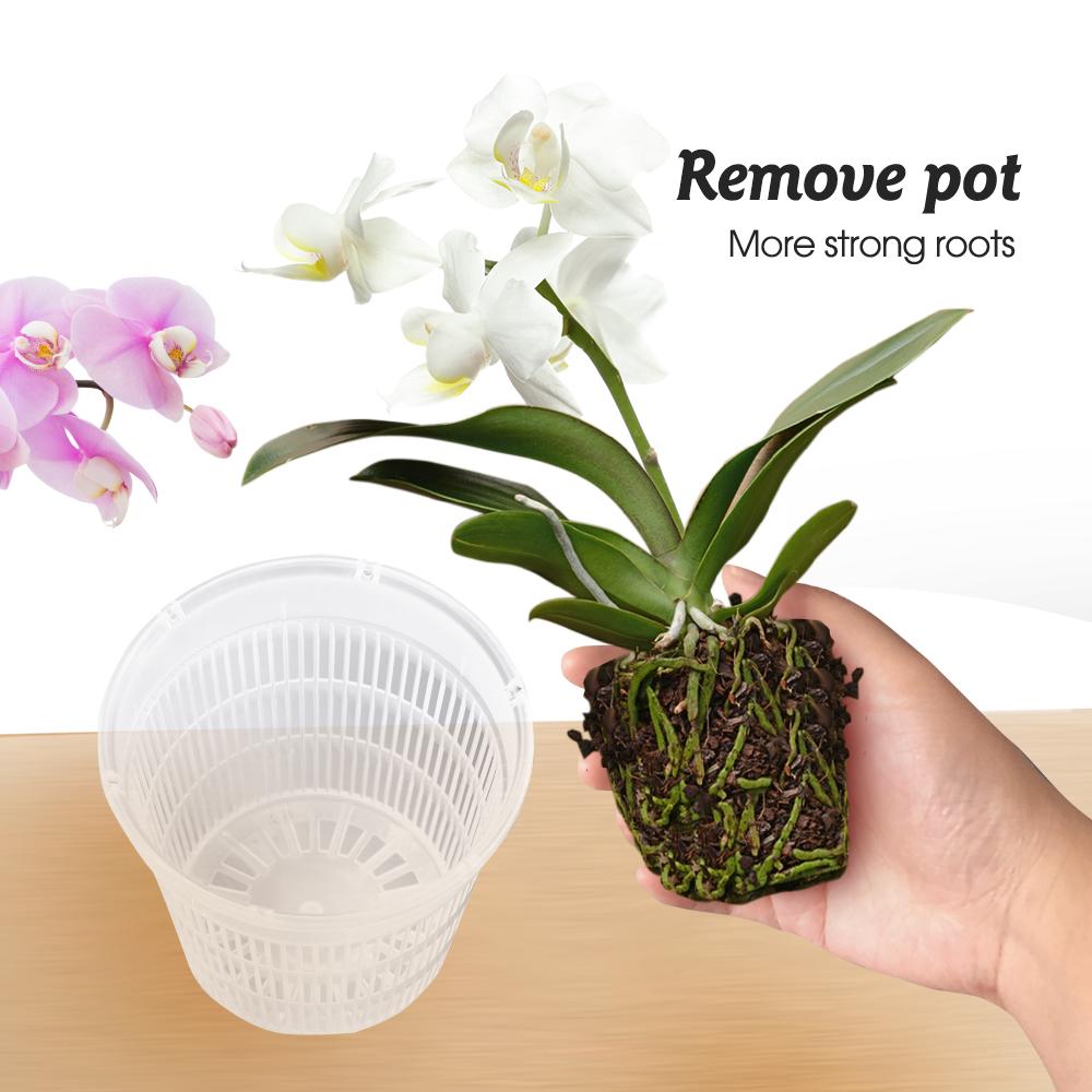 5-20 шт прозрачных пластиковых горшков для орхидей с отверстиями, дышащие, прорезные, для украшения дома, садовые цветочные корзины для помещений и улицы
