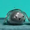 Rabbit Shape Storage Pendant Large Capacity Transparent Design Eco Friendly Material Multi Functional Organizer For Pet Hair Sma