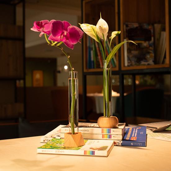 Test Tube Vase Glass Hydroponic Vase With Wooden Stand Desktop Transparent Tube