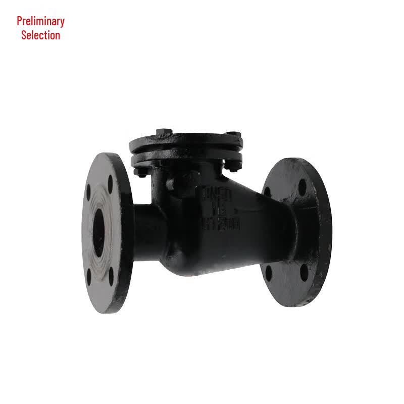 H44T Cast Iron Flanged Swing Check Valve