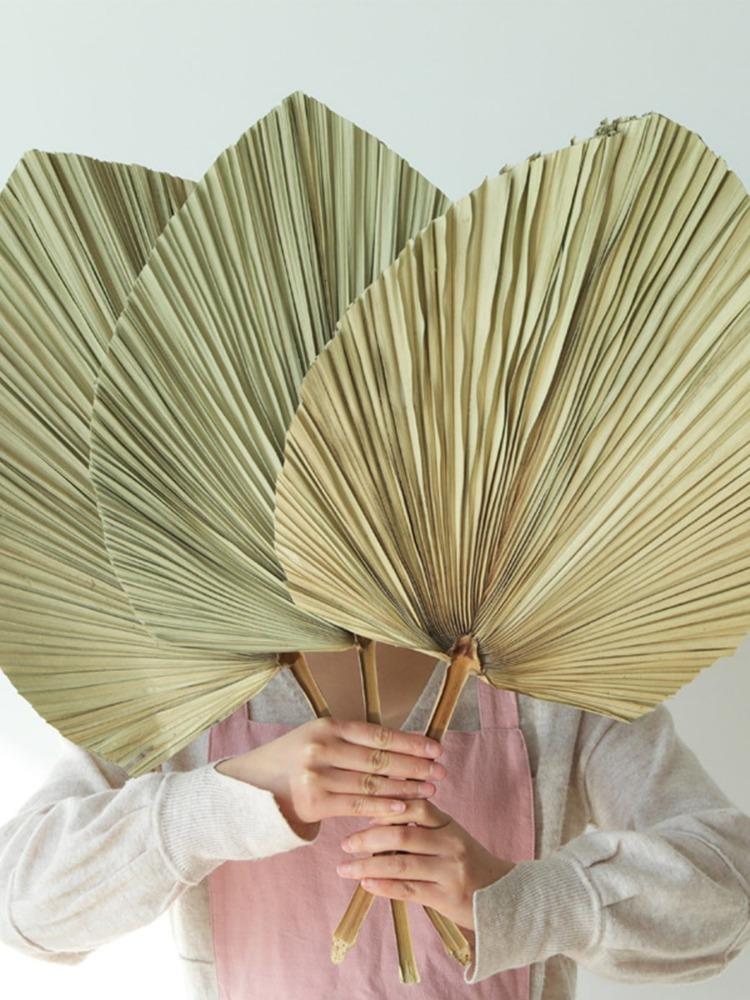 2 шт. пальмовых веера, натуральные сушеные пальмовые листья, в форме сердца, круглые веера, сушеный букет для свадьбы, домашней вечеринки, кухни, вазы, столовых композиций, украшения на годовщину